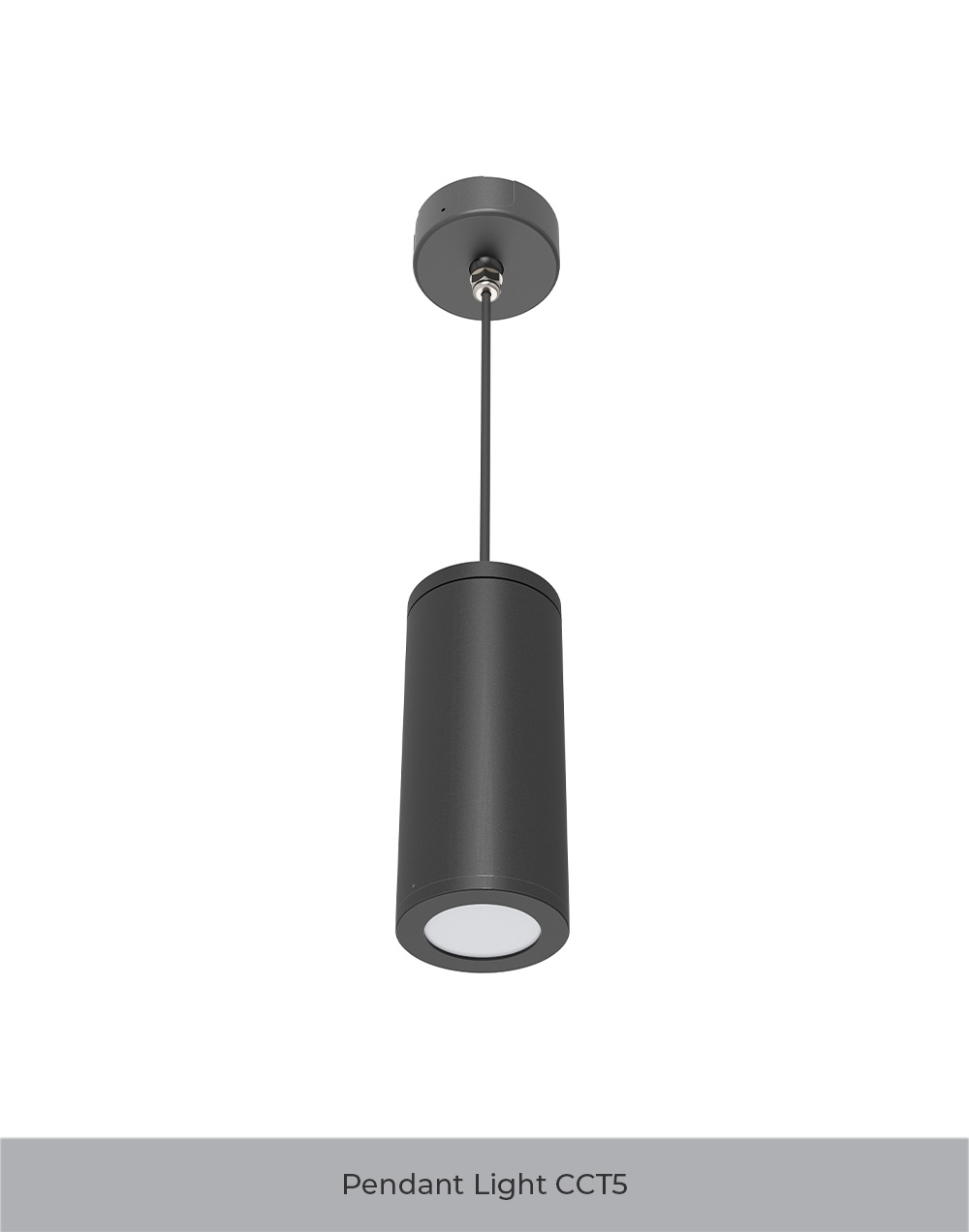 naturaled Decorative Pendant Light CCT5